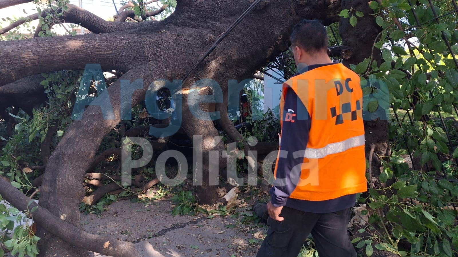 Diseño sin título.zip - 2