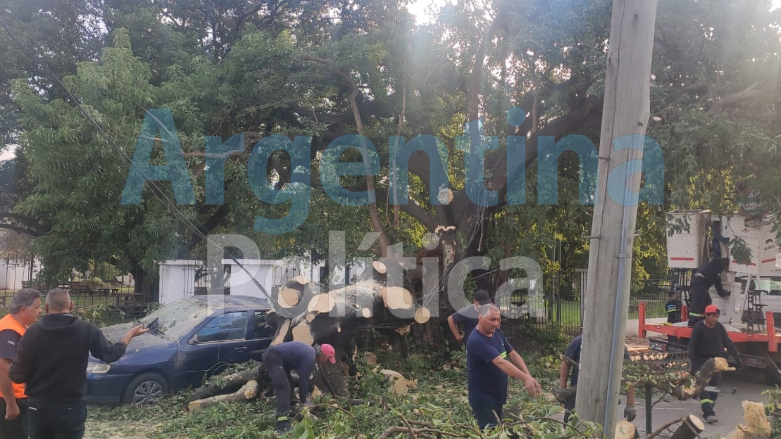 Diseño sin título.zip - 3