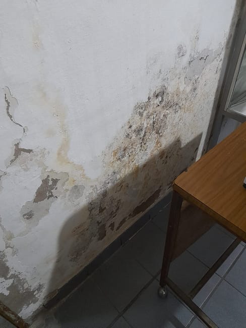 WhatsApp Image 2023-07-15 at 10.39.49 (1)