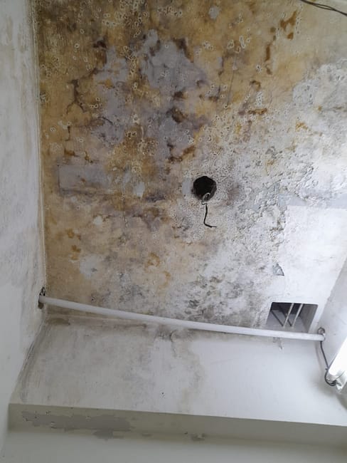 WhatsApp Image 2023-07-15 at 10.39.49 (2)