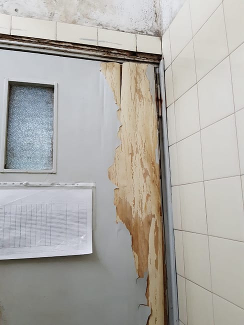 WhatsApp Image 2023-07-15 at 10.39.50 (1)