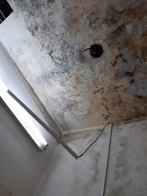 WhatsApp Image 2023-07-15 at 10.39.50